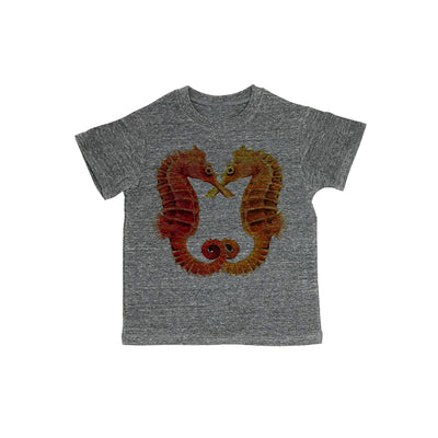 Seahorse Baby Organic Tee Shirt