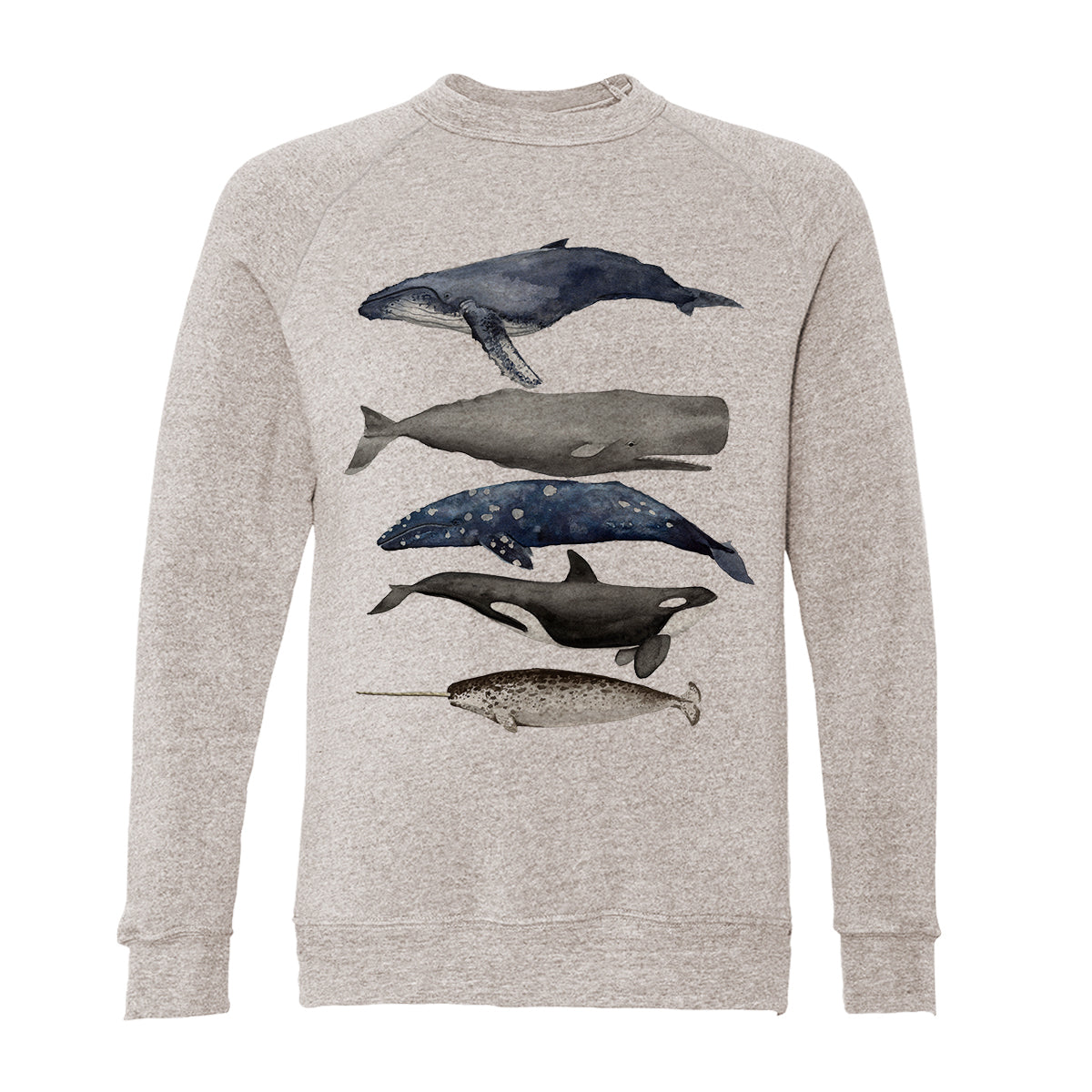 Whales Adult Raglan Sweatshirt